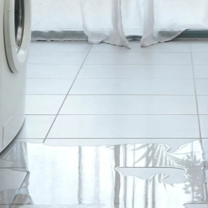 Appliance Leak Cleanup in Treasure Lake, PA