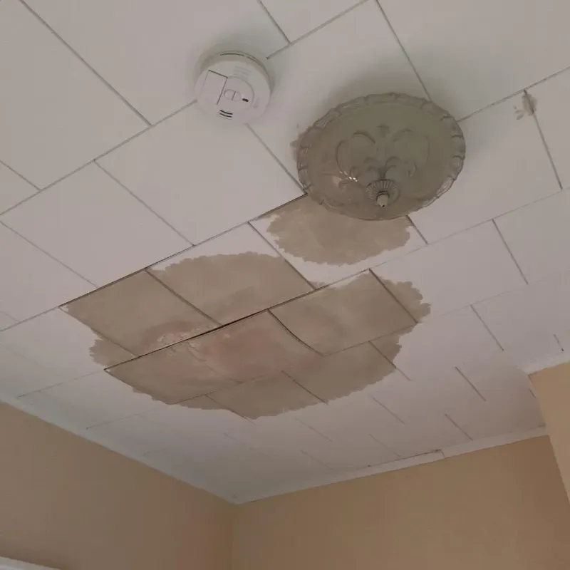 Ceiling Water Damage Repair in Treasure Lake, PA