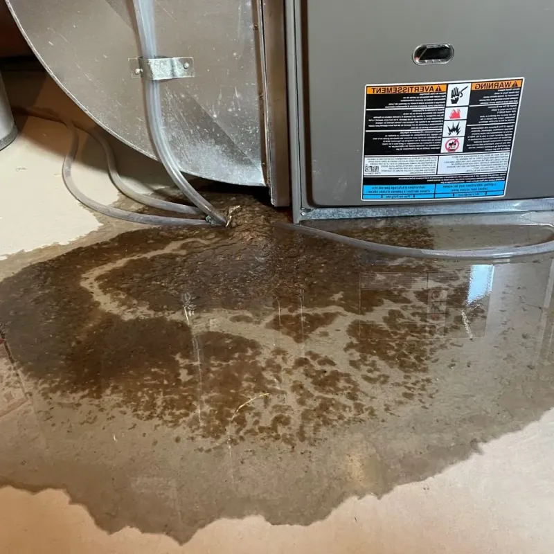 Pipe Burst and Leak Restoration in Treasure Lake, PA