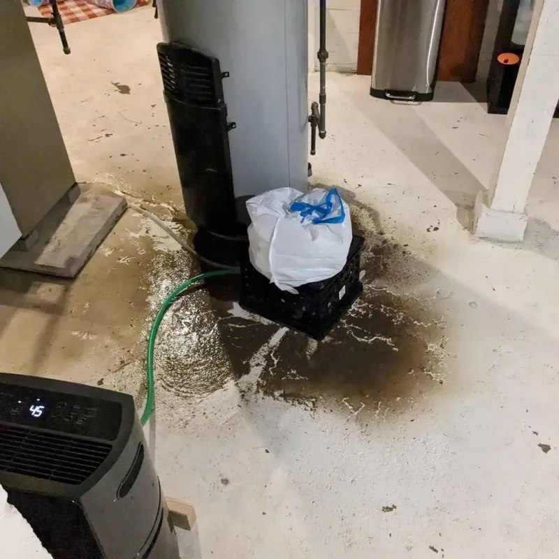Sewage Backup Cleanup Service in Treasure Lake, PA